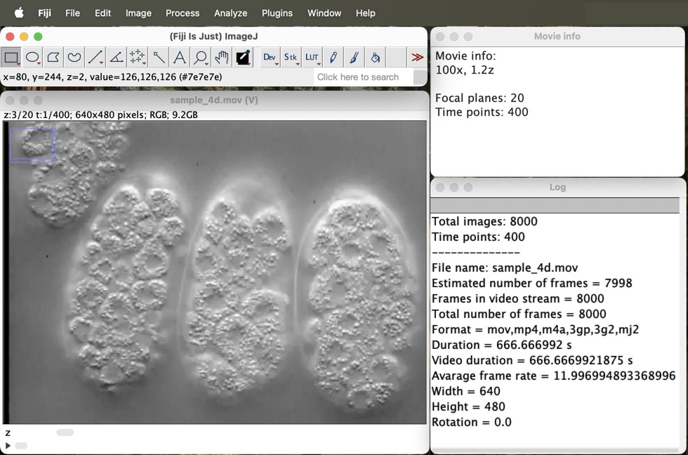 4d import plugin