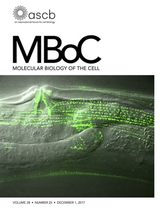 sorb-1 cover photo
