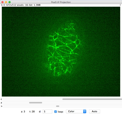 HyperStack Projector plugin