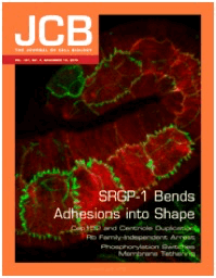 srgp-1 cover photo