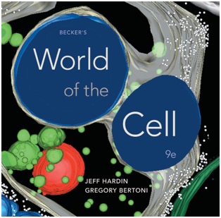 WOC 9e cover